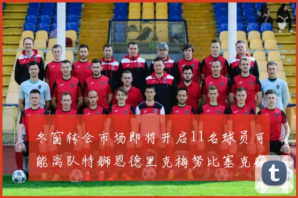 冬窗转会市场即将开启11名球员可能离队特狮恩德里克梅努比塞克在列