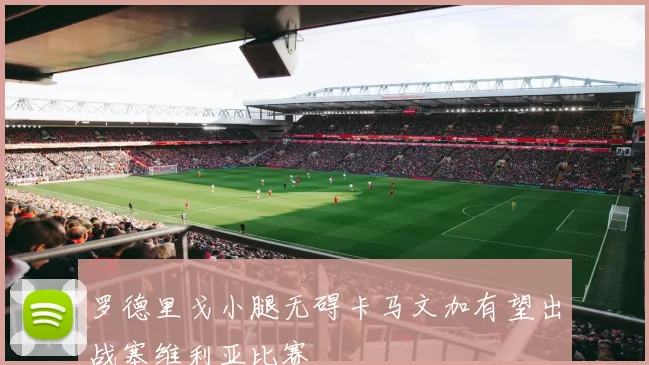 罗德里戈小腿无碍卡马文加有望出战塞维利亚比赛