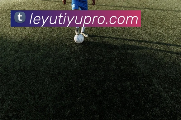 乐鱼体育平台生态图